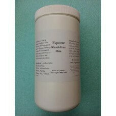 Equine React -Free One