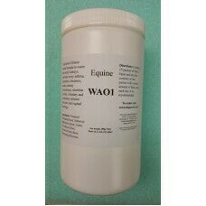 Equine WAO1