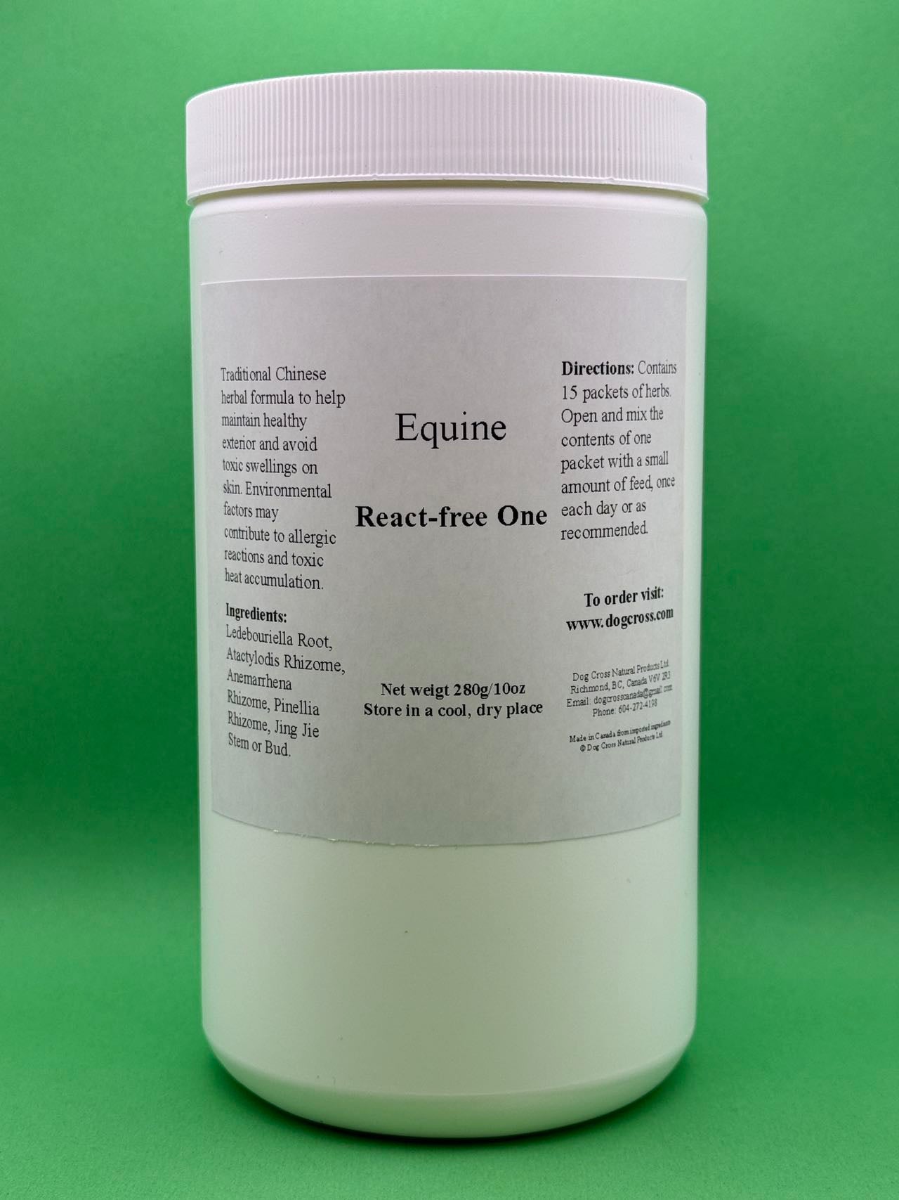 Equine React -Free One